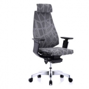 保友办公家具（Ergonor）    基尼迪亚 人体工学电脑椅