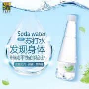 天地精华 青柠檬苏打水饮料 410ml*15瓶
