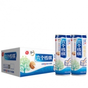 养元 六个核桃 核桃乳饮料 240ml*20罐