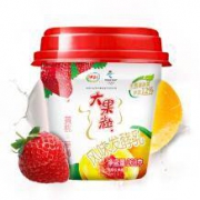 伊利 大果粒风味发酵乳 260g *29件