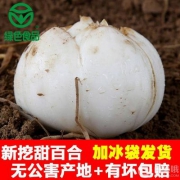米家山 兰州新鲜百合500g