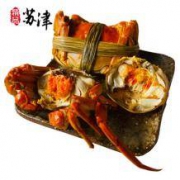 苏津 阳澄湖六月黄鲜活大闸蟹 6只现货 每只2.3-2.6两