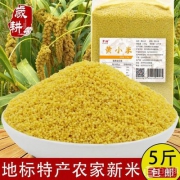 岁耕 山东黄小米 5斤