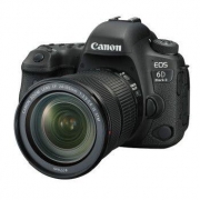 Canon 佳能 EOS 6D Mark II 单反套机（EF 24-105mm f/3.5-5.6 IS STM）