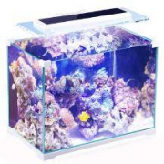 森森 桌面小鱼缸 ATK-350*2件+凑单品