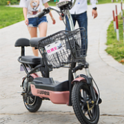 年度10大电动车品牌！比德文 48V 电动车 TDT1259Z