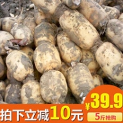 湖北特产美食 荷蟹 现挖 洪湖莲藕5斤装