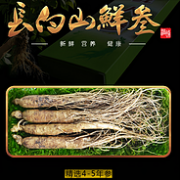 长白山新鲜养殖人参！阳亿鲜人参4支共50g