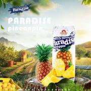 埃及进口，Paradise 乐源 菠萝果汁饮料 250ml*4瓶*2件 15.84元