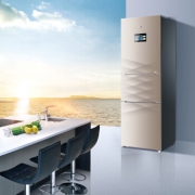 海尔（Haier）  BCD-225SDICU1 225升 三门 冰箱