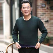 绅狼顿 男士加厚针织衫 秋季毛衣