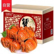阳澄联合 阳澄湖六月黄 大闸蟹 礼盒 2.0-2.3两 6只装