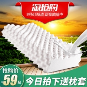 舒娜 泰国进口 天然乳胶枕