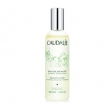 CAUDALIE BEAUTY ELIXIR 100ML