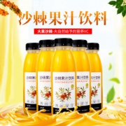 立辉 新疆特产 沙棘果汁 40%沙棘原浆 300ml*12瓶 整箱装