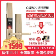 DESSMANN 德施曼 T750 指纹锁