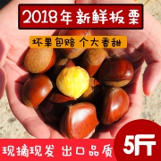 树茂永 2018丹东新鲜生板栗 5斤
