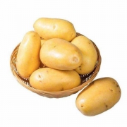 镇臻美味  黄心土豆 500g