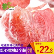 果书 平和红心琯溪蜜柚5斤