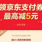 京东金融 支付券