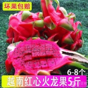 约果绘 越南进口红心火龙果 5斤装