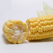 华赏 现摘新鲜甜脆玉米 5斤