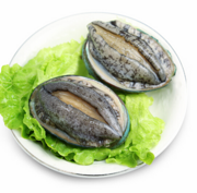 历史低价：鸥米茄 鲍鱼 500g