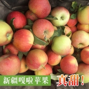 以稀 正宗新疆阿克苏嘎啦小苹果 果径70-75mm 10斤 非常脆甜 现摘现发