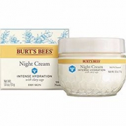 Burt‘s Bees 小蜜蜂 Hydration 补水晚霜 50g
