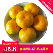 雪峰源 湖南石门蜜桔 5斤