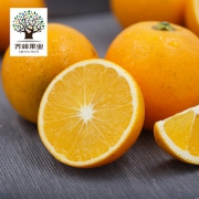 预售，齐峰缘 云南玉溪冰糖橙子 10斤