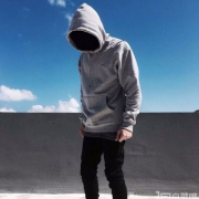 Champion 冠军牌 男士保暖连帽卫衣 3色