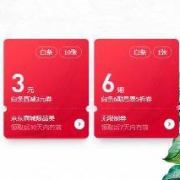 优惠券：京东 白条3元立减券*10张