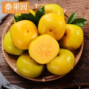 泰果园 广西恭城脆柿5斤（拍2件）