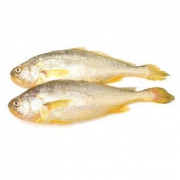 海天下 冷冻东海大黄鱼 2条装 500g