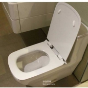 镇店之宝，DuraStyle  杜拉维特 305mm坑距 连体式虹吸式座便器
