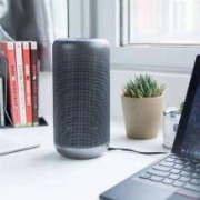 SONY 索尼 LF-S80D 智能蓝牙音箱 黑色