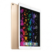 Apple iPad Pro 平板电脑 12.9英寸 金色 64GB WiFi版