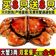 溱湖大闸蟹盒装 16只 母2两 公3两  可全母 死蟹包赔