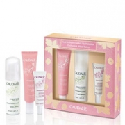 CAUDALIE 欧缇丽 葡萄源三件套装 冰淇淋霜40ml+精华液10ml+洁面摩丝50ml