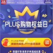 优惠券：京东 PLUS会员专享福袋
