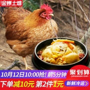 10点开始，缘琳山 金蝉大别山散养老母鸡 1200g*2件