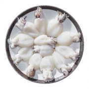 简单滋味 墨鱼仔250g/袋 14-18头 鲜活急冻 海鲜水产