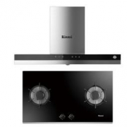 Rinnai 林内 NM02T+2E01L 烟灶套装
