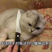 #国庆话聊#半夜不回老板微信被辞退，休息时间老板微信该不该回？