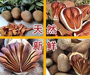 糖尿病圣品！提高免疫降三高，普济坊 所罗门向天果  1000g