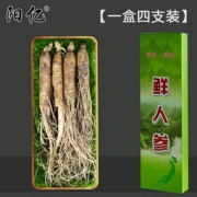 阳亿 长白山新鲜带土人参 50g*4