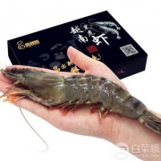 品鲜猫 越南黑虎虾 1000g 约20只