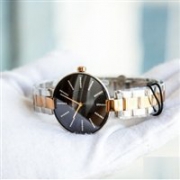 Rado 雷达 Coupole晶萃系列 女士超薄镶钻腕表R22850713