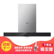 Haier 海尔 CXW-219-E900T6RU1(J) 欧式油烟机